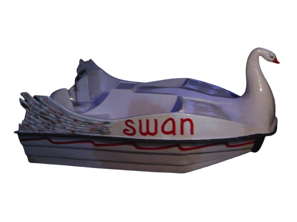 Swan 4 seater pedal boat